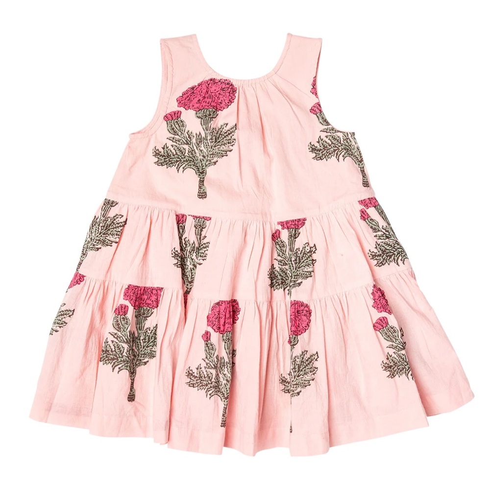 Pink Chicken Eloise Dress Sz 4